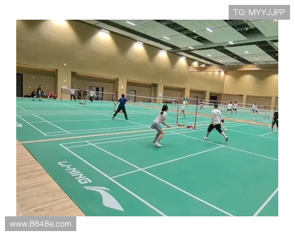 深圳羽毛球队的包夹战术揭秘与深度分析