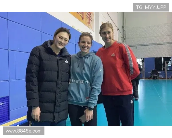 权威发布：2023年排球意识实力榜单全面解析与前瞻